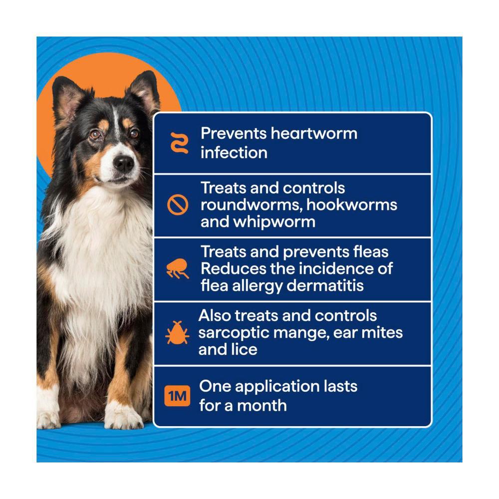 Buy Totalcare Heartworm Flea Prot Med Dog Treatment Pack Coles - Main Image