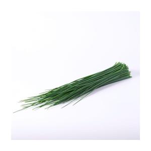 Natoora Chives Bunch, 1 bunch, catalogue pack image