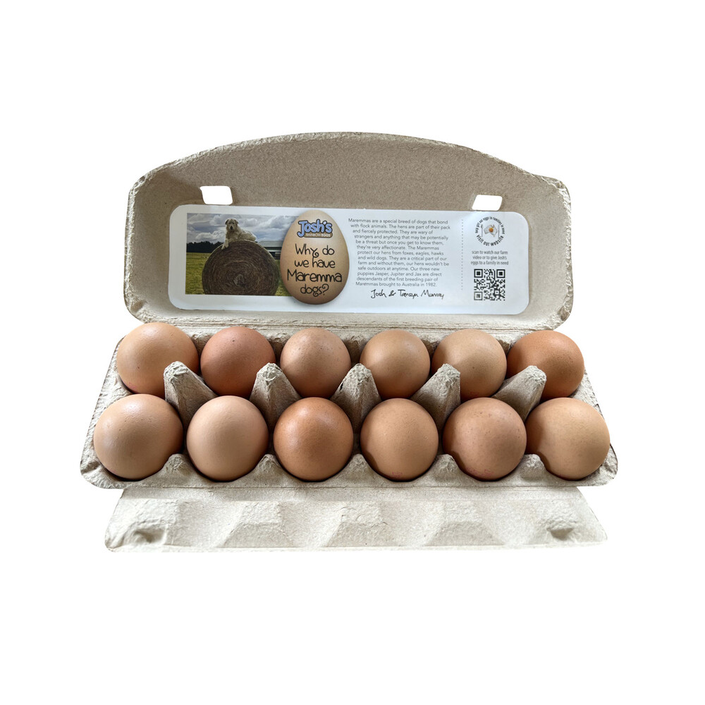 Josh's Rainbow Free Range Eggs 12 Pack | 700g