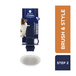 sell reptiles online