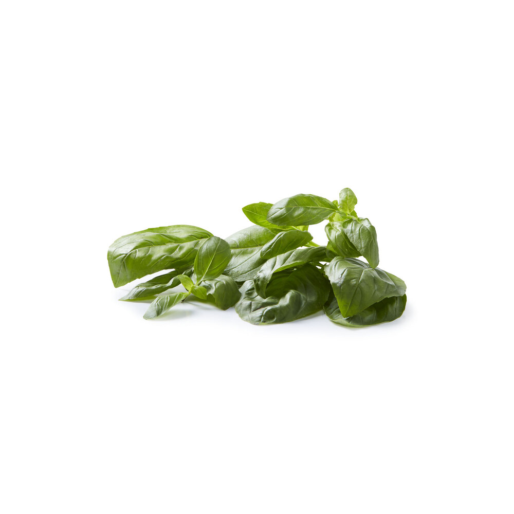 Buy Coles Herb Punnets Basil 15g