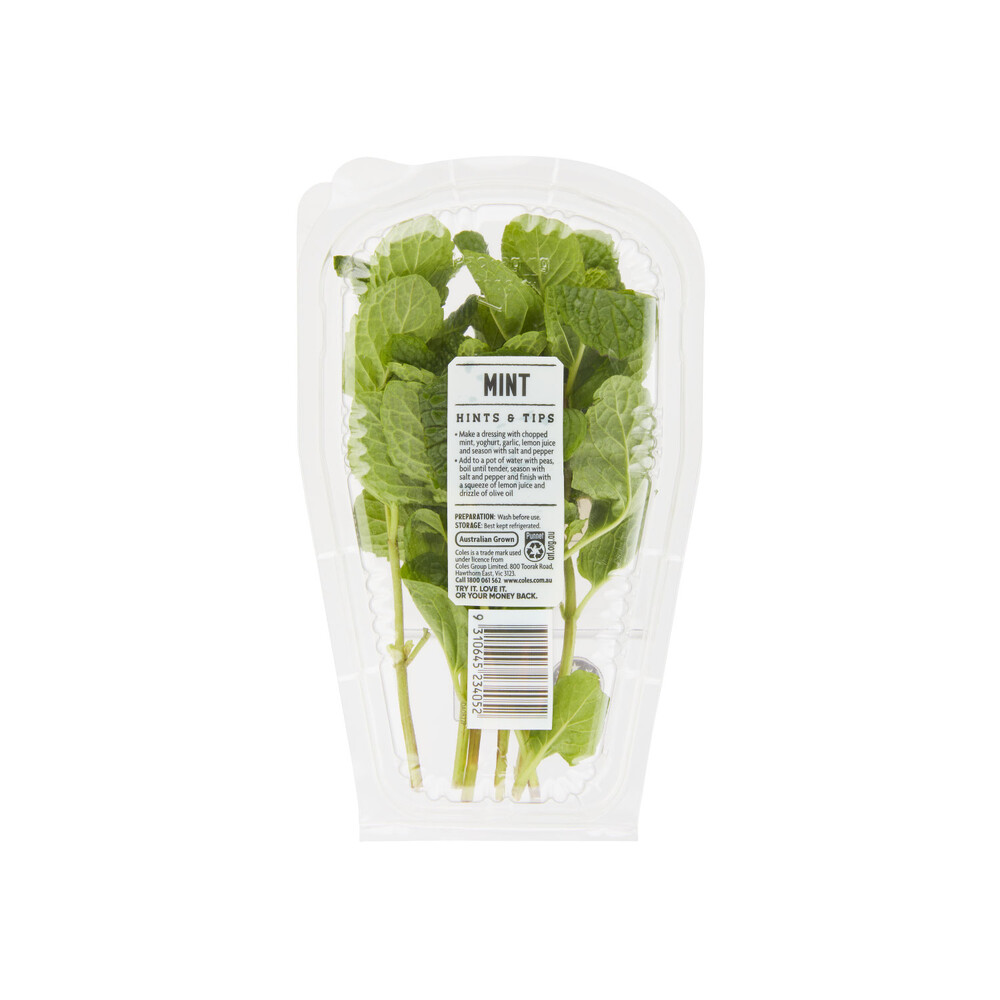 Buy Coles Herb Punnets Mint 15g