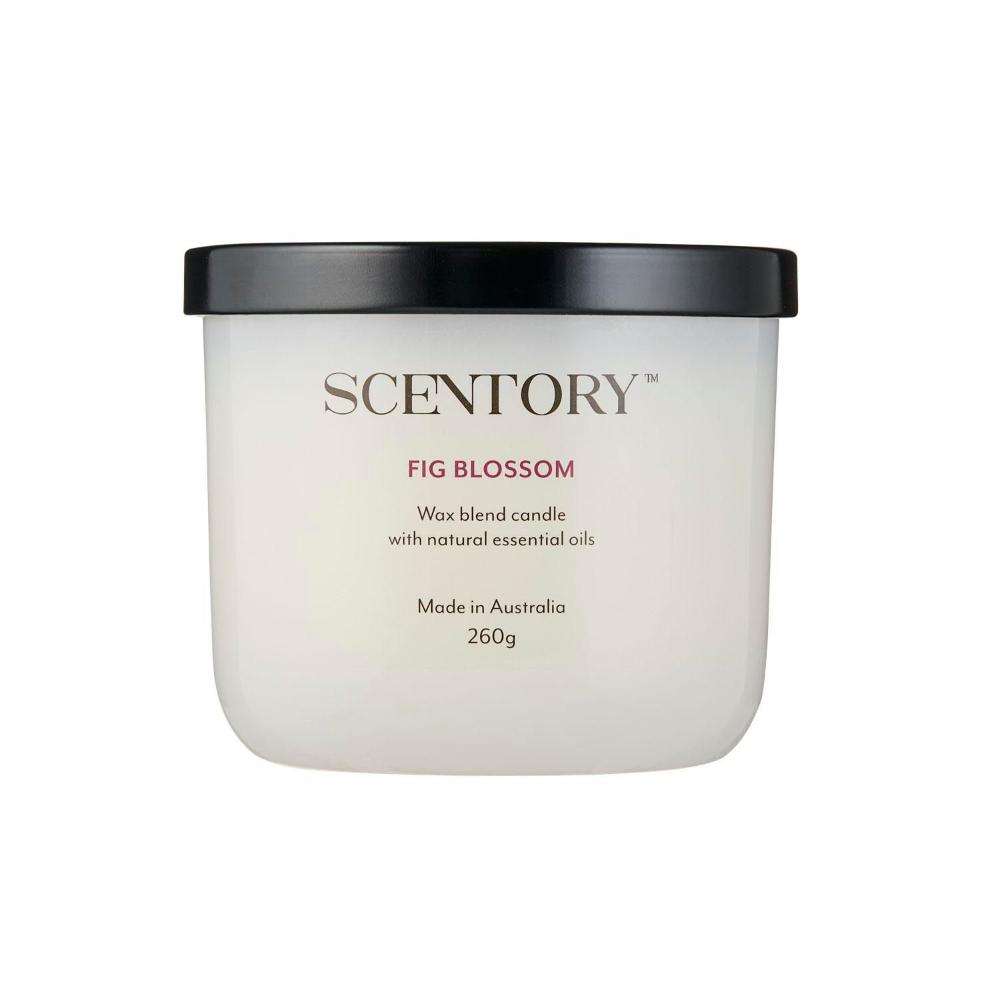 Buy Scentory Soy Blend Aromatic Citrus Double Wicked Candle 1 pack Coles