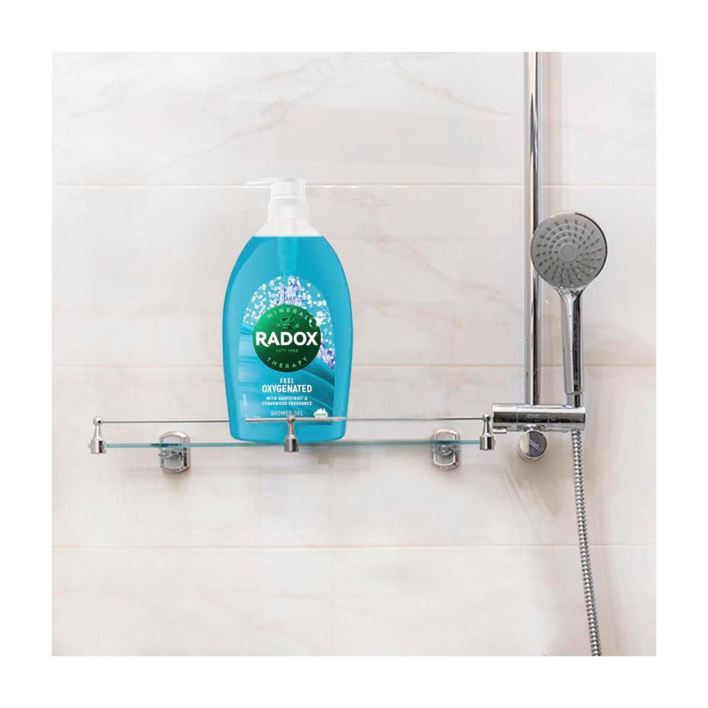 Radox Mineral Therapy Shower Gel Feel Ready • Price