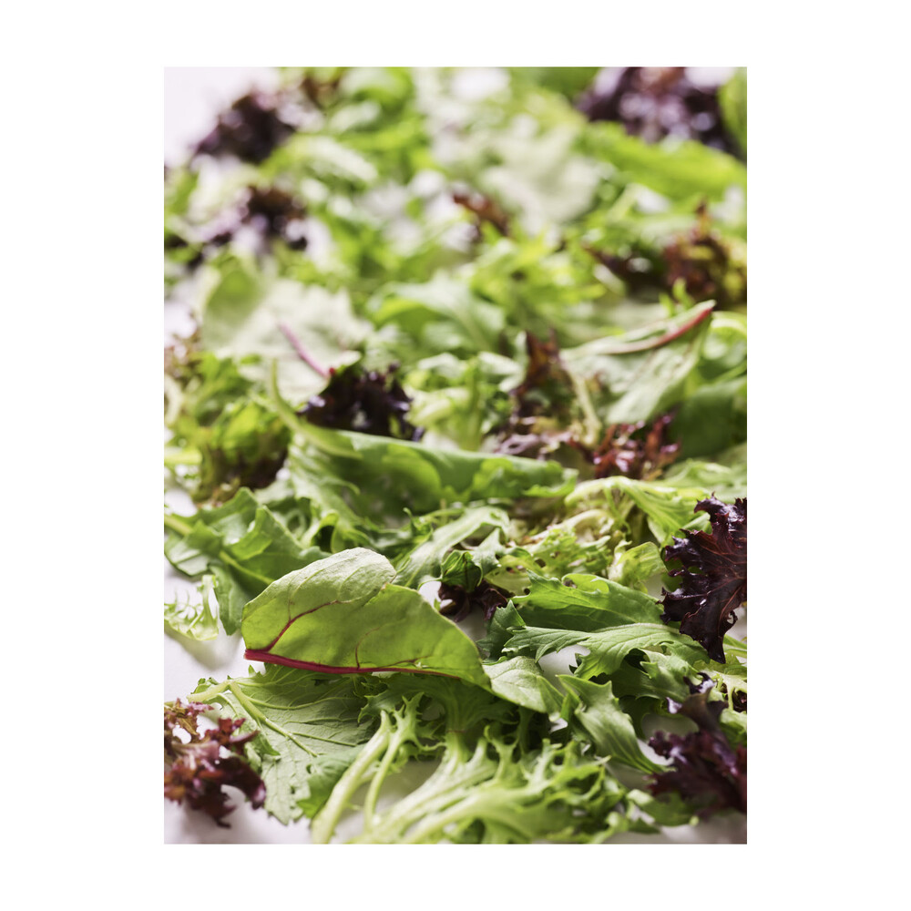 Coles 4 Leaf Salad Mix | 120g